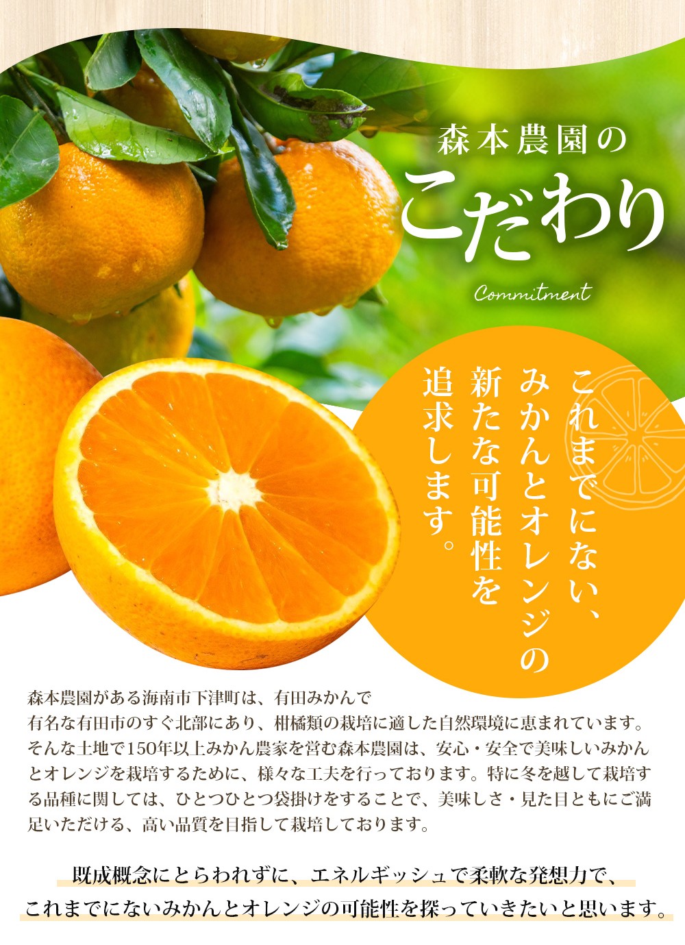 【家庭用】 森本農園の手選別 清見オレンジ 約1.5kg 和歌山県産 サイズ混合 ※2026年2月上旬～5月中旬頃に順次発送 / 柑橘 ご家庭用 期間限定 由良町 果物 フルーツ 和歌山県【mrmt021A】