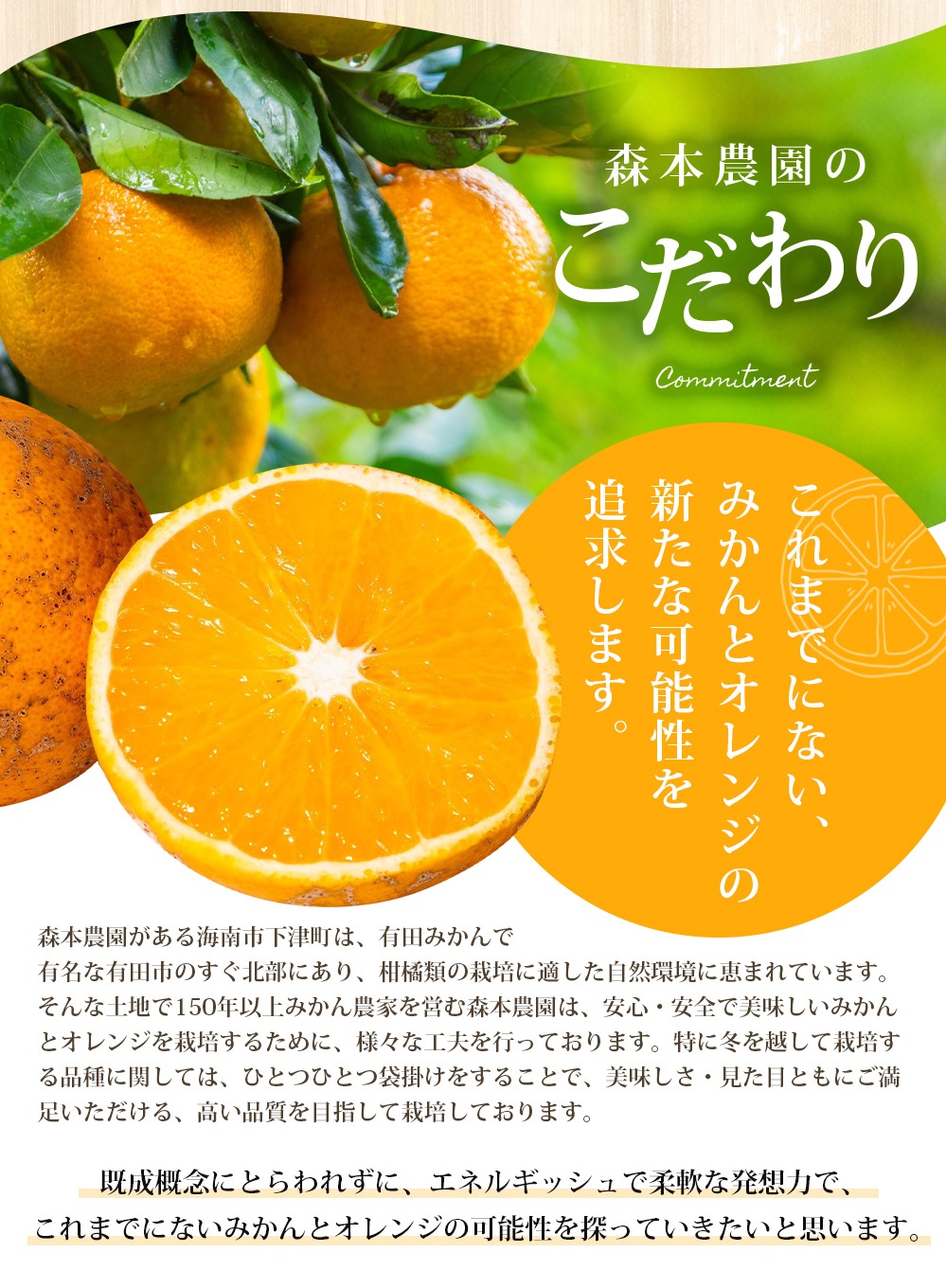 【訳あり】 森本農園の手選別 清見オレンジ 約2kg 和歌山県産 サイズ混合 ※2026年2月上旬～5月中旬頃順次発送 / 清見 きよみ オレンジ 柑橘 期間限定 由良町 果物 フルーツ 和歌山県【mrmt023A】