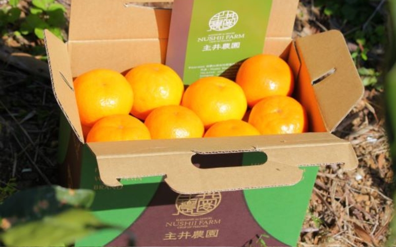 【先行予約】高級松兵衛みかん 2.5ｋｇ ※2025年10月下旬頃～2026年1月上旬頃に順次発送予定 / 和歌山県 柑橘 みかん 甘い 蜜柑 フルーツ 果物 くだもの 食品 人気 晩柑 おすすめ 送料無料 産地直送 由良町【nus003】