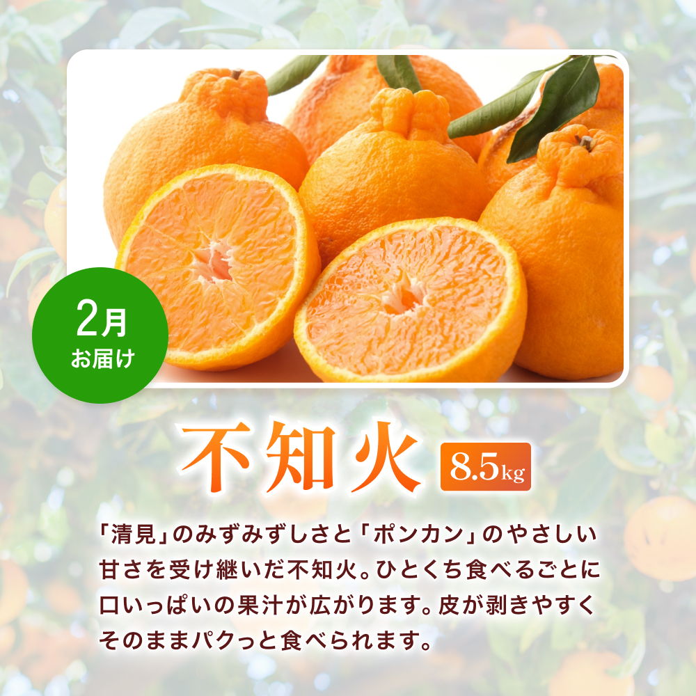 ＼たっぷり23.5kg！／【3か月定期便】訳ありみかんの定期便 / 温州みかん 不知火 清見オレンジ 定期便 果物 柑橘 由良町 フルーツ くだもの 産地直送 ミカン 和歌山【tkb113】