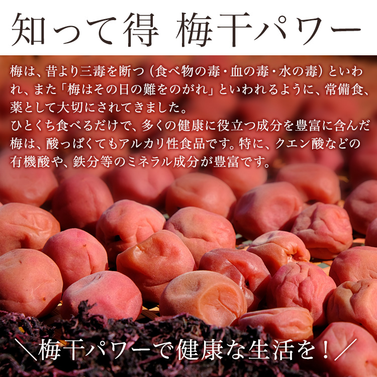 しそかつお梅干し つぶれ梅（はちみつ入り）1kg《紀州南高梅》(ご家庭用）【ard108】