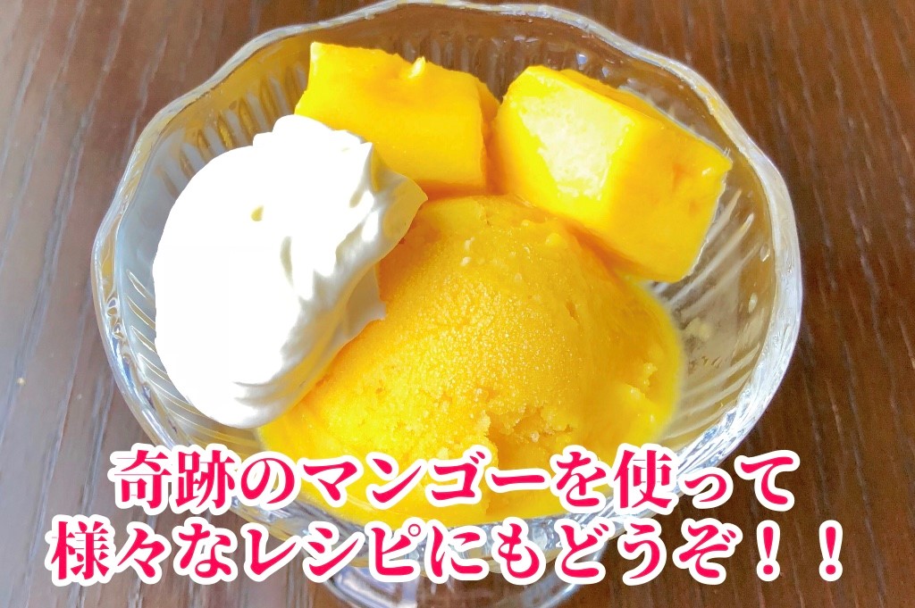 ◆先行予約◆和歌山県産　紀州完熟マンゴー『吉玉』約1kg程度／2～3玉入り【2025年8月中旬から9月下旬頃順次発送予定】【MG20】【mtgn055】