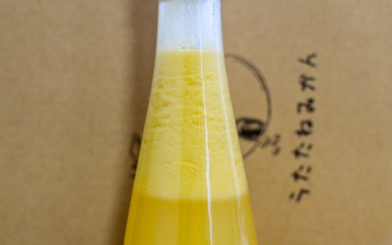 《180ml×3本・リモンチェッロ》綺麗な湧水で育てた完熟レモンでつくりました！【uttn007】