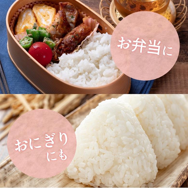 和歌山県産 キヌヒカリ 5kg（2025年産）令和7年産 ※2025年9月中旬より順次発送予定【sml101E】