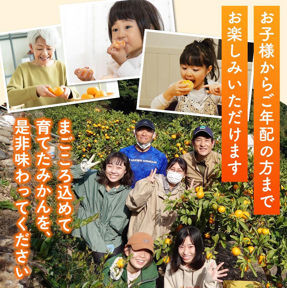 【来シーズン先行予約】完熟さつき八朔 8kg【2026年3月下旬頃から発送予定】 / はっさく ハッサク 柑橘 由良町 果物 フルーツ くだもの 産地直送 和歌山【kzmn001】