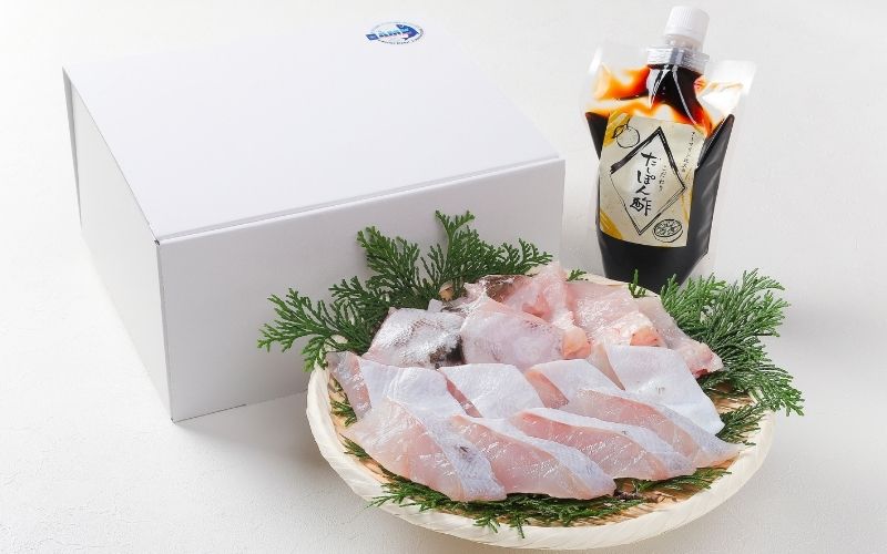 近大くえ鍋セット ( 500g ）こだわりだしぽん酢付き【2025年2月上旬～中旬発送】【akd501-3】