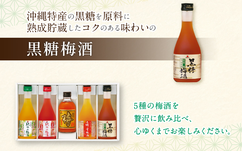 紀州の梅酒 飲み比べ5本セット（白・赤・蜂蜜・黒糖・樽）梅酒 梅 紀州南高梅 酒 お酒 飲み比べ リキュール 和歌山 果実酒 アルコール お湯割り 水割り ロック ストレート  晩酌【mtgn109A】