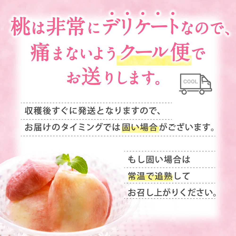 【受付停止まで残りわずか！】和歌山県産 白鳳 桃 5～8玉入り 秀品 先行予約【2025年6月下旬以降発送】【MG6】【mtgn053A】