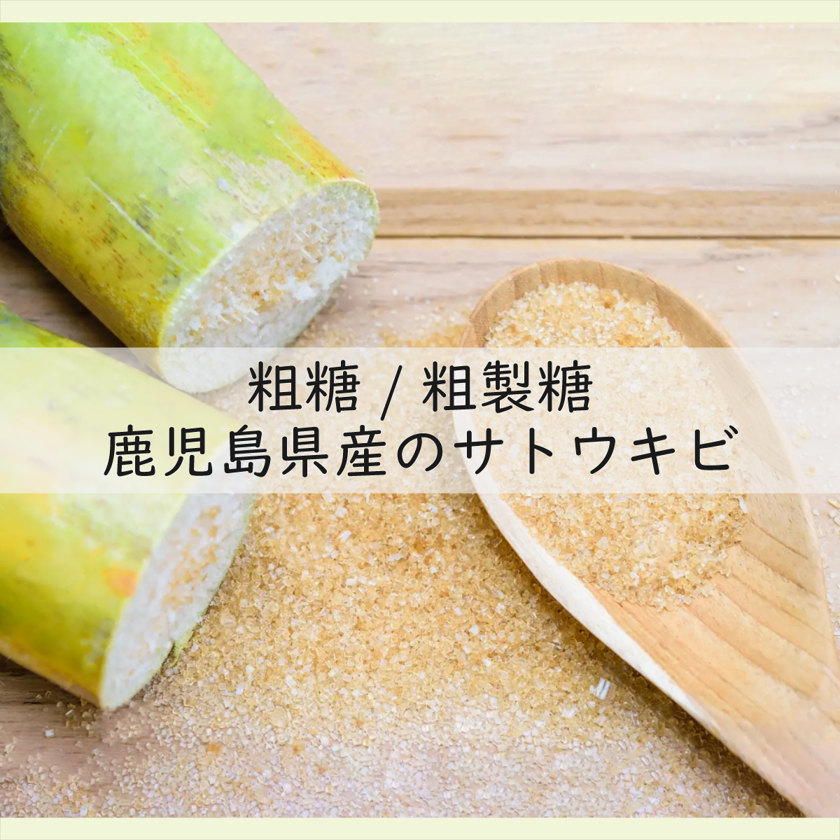 梅干し 無添加 訳あり はちみつ梅干1kg（500×2） 紀州梅香 / 塩分6％ 紀州南高梅 ワケあり つぶれ つぶれ梅 梅干し うめぼし 南高梅 はちみつ梅 はちみつ漬け 減塩 塩分控えめ 小分け 家庭用 ご家庭用 普段使い おにぎり お弁当 和歌山県 紀州 【baiko001】