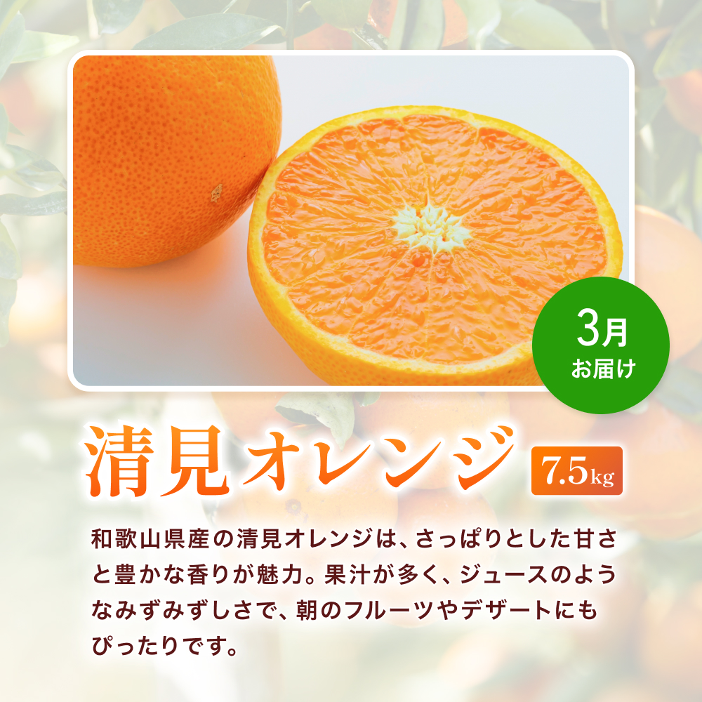 ＼たっぷり23.5kg！／【3か月定期便】訳ありみかんの定期便 / 温州みかん 不知火 清見オレンジ 定期便 果物 柑橘 由良町 フルーツ くだもの 産地直送 ミカン 和歌山【tkb113】