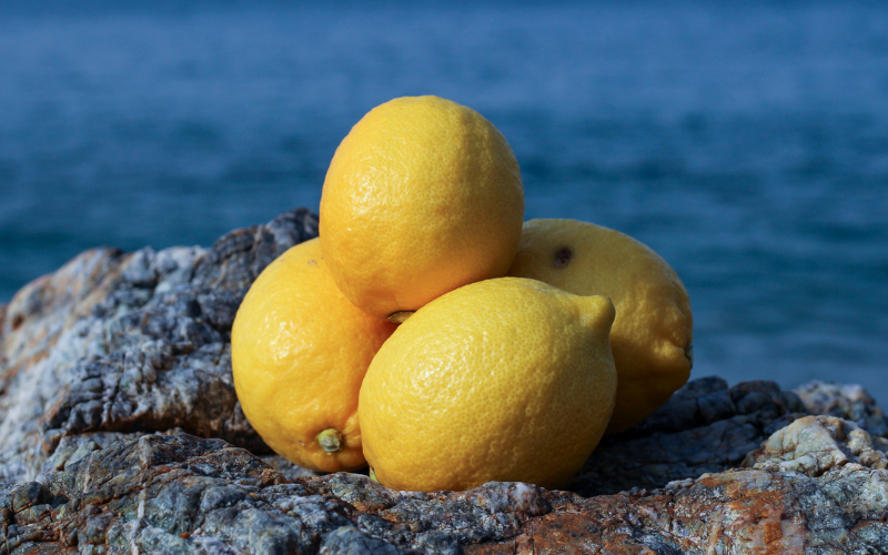 【来シーズン先行予約】和歌山県産完熟レモン（2kg・大小混合）皮まで使用可能！【2026年1月中旬より順次発送予定】 / れもん ノーワックス 柑橘 産地直送 由良町 和歌山【uttn017】