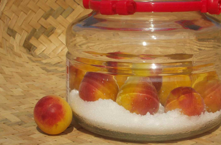 【梅干・梅酒用】大玉4Lサイズ約10kg熟南高 生梅 赤秀品＜2026年6月上旬～7月上旬ごろに順次発送予定＞【ART02】【art022A】