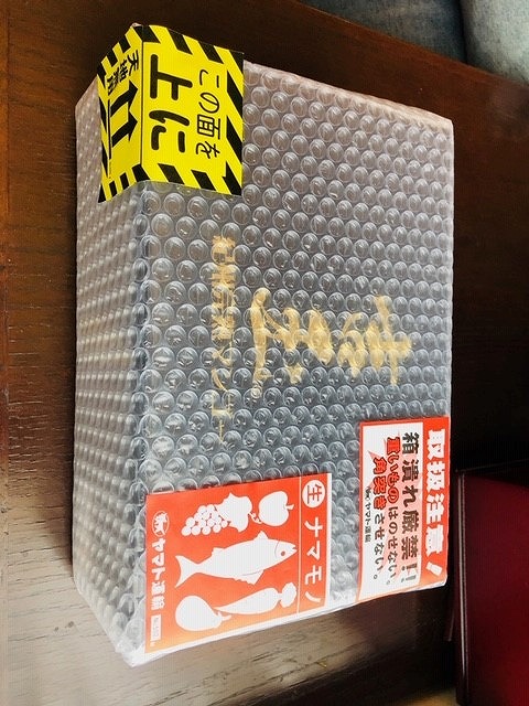 ◆先行予約◆和歌山県産　紀州完熟マンゴー『吉玉』約1kg程度／2～3玉入り【2025年8月中旬から9月下旬頃順次発送予定】【MG20】【mtgn055】