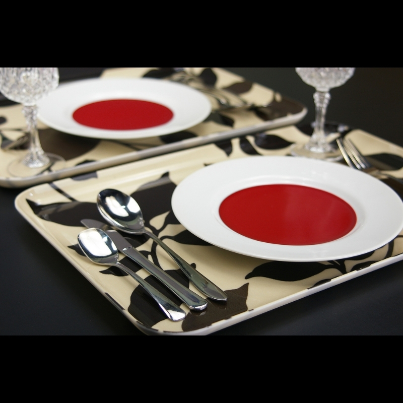 タツクラフト NRトレー M 33cm フフラ 2枚組 【Tk157】【ttcf034】