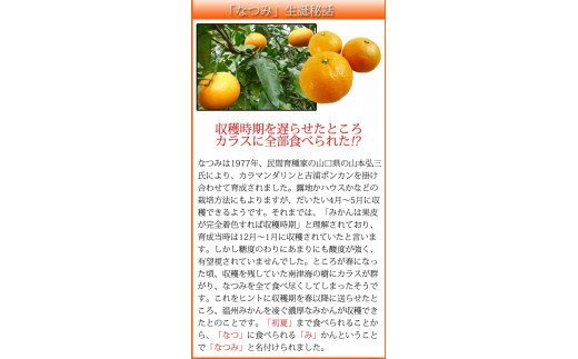 初夏のみかん　なつみ3kg【2026年4月中旬頃～2026年4月下旬頃に順次発送予定】【先行予約】【UT56】【uot753A】
