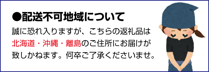 ◆先行予約◆和歌山県産　紀州完熟マンゴー『吉玉』約1kg程度／2～3玉入り【2025年8月中旬から9月下旬頃順次発送予定】【MG20】【mtgn055】