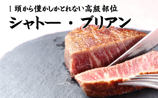 熊野牛A4以上シャトーブリアン200g＆赤身こま切れ300g【uot745】