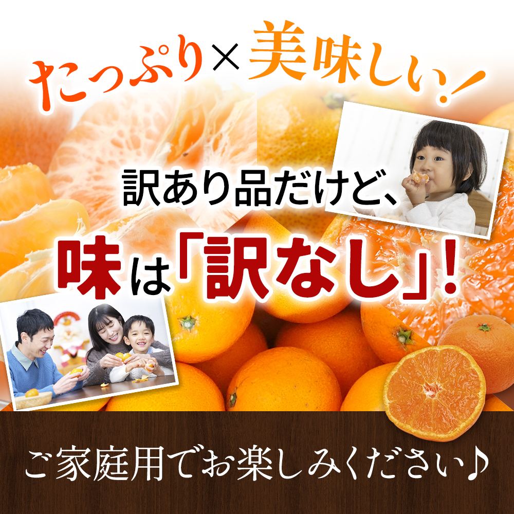 ＼たっぷり23.5kg！／【3か月定期便】訳ありみかんの定期便 / 温州みかん 不知火 清見オレンジ 定期便 果物 柑橘 由良町 フルーツ くだもの 産地直送 ミカン 和歌山【tkb113】