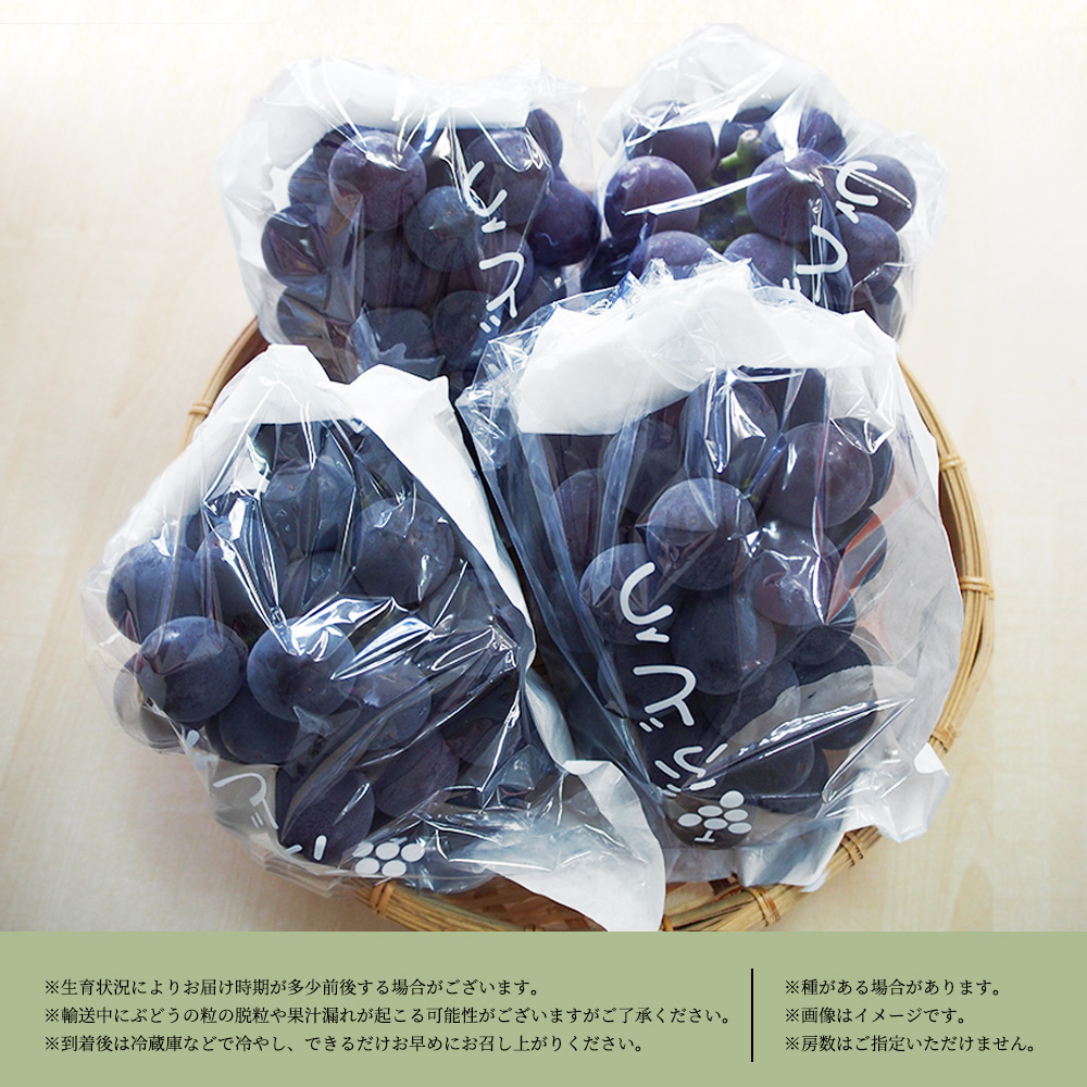 ピオーネ 約2kg　紀州和歌山 かつらぎ産【2026年8月下旬頃〜2026年9月上旬頃発送予定】【UT119】【uot781A】