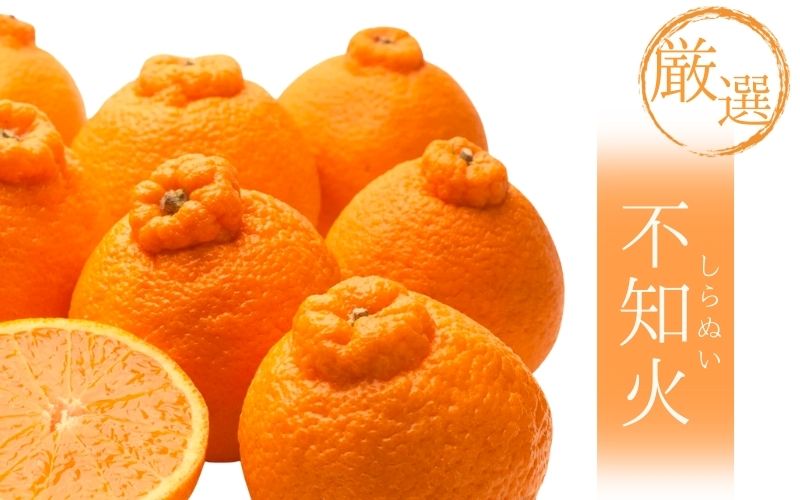 ＜先行予約＞厳選不知火1kg+250g（傷み補償分）＜2月より発送＞ デコポンと同品種 人気の春みかん 光センサー選別 みかん 果物 フルーツ デコポン 【ikd207B】