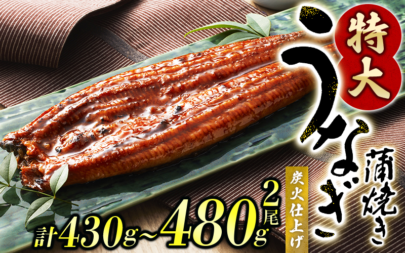うなぎ蒲焼き2尾入り 計約430g～480g（蒲焼たれ4袋 山椒付き）【KS5】【nks700B】