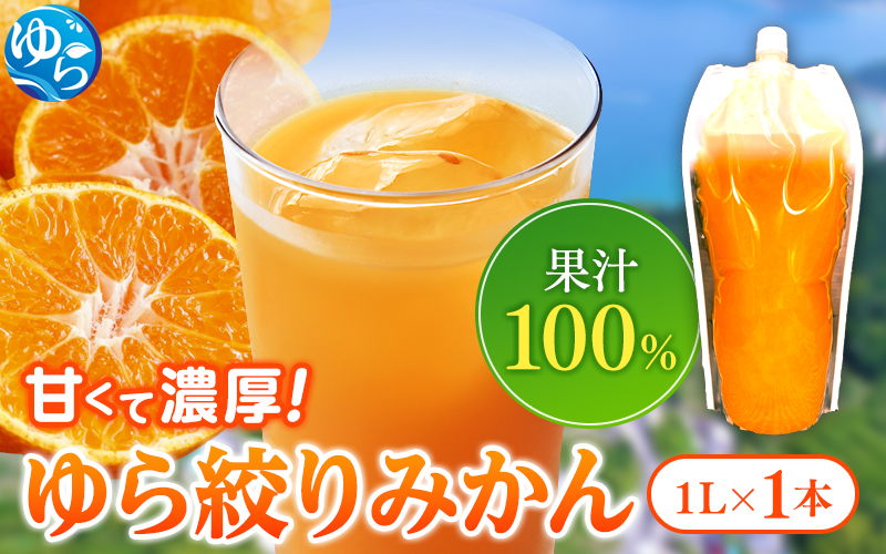 無添加 ストレート果汁！ みかんジュース 1L×1本【fmlb018】