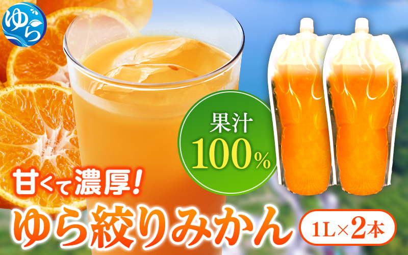 無添加 ストレート果汁！ みかんジュース 1L×2本【fmlb019】