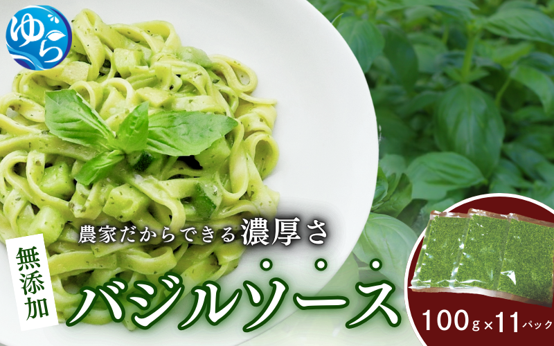 お得なパック入り11袋　農家だからできる濃厚『 バジルソース　ジェノベーゼ』【fmlb048】