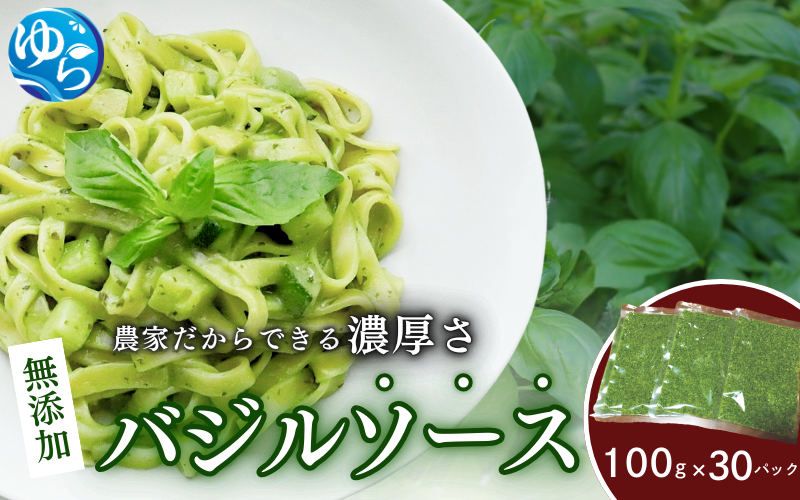 お得なパック入り30袋　農家だからできる濃厚『バジルソース　ジェノベーゼ』【fmlb050】