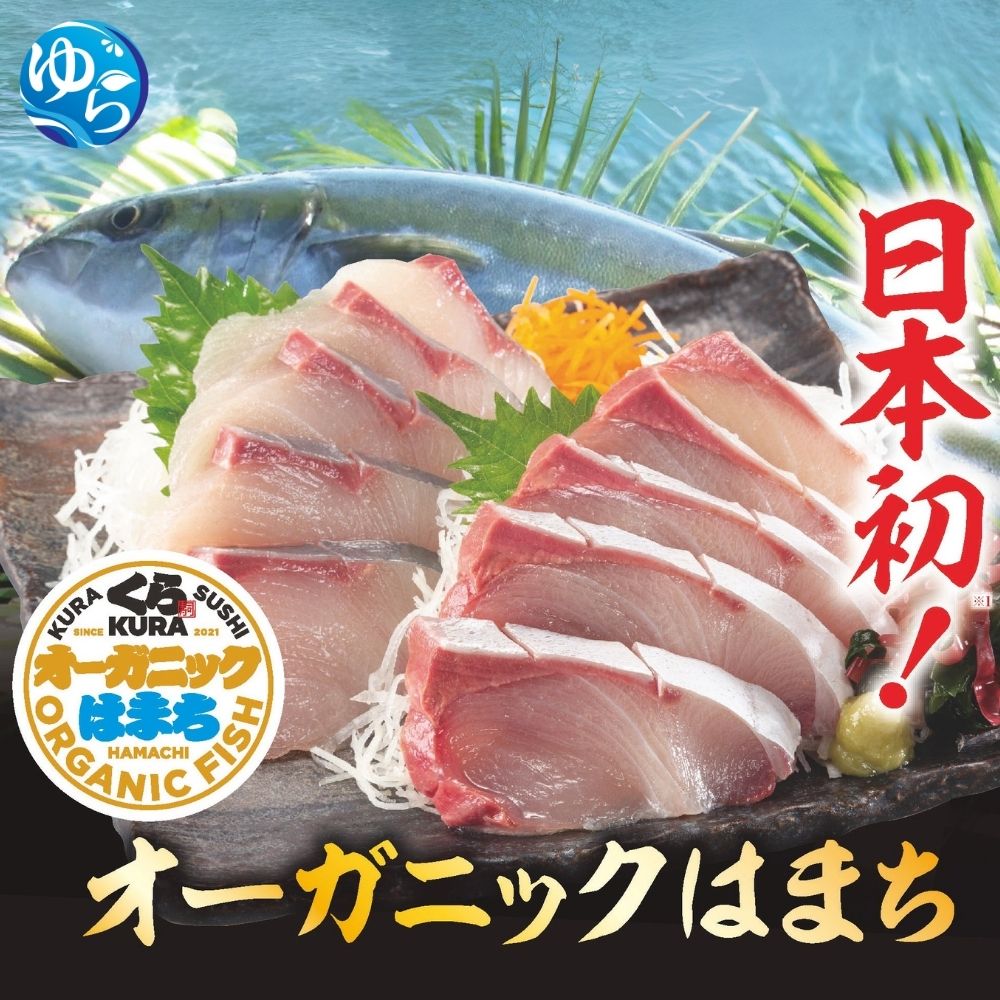 【くら寿司】オーガニック はまち 1尾 フィレ（カマなし）約2.1kg～2.4kg / ハマチ 丸ごと 刺身 数量限定 期間限定 ※2026年1月上旬～2026年4月末まで順次発送【kura003A】
