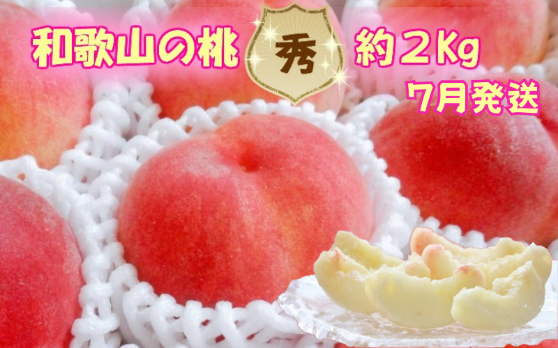 【秀品】和歌山ブランド白桃 約2kg！2025年 7月発送分【NGT6】【ngt302】