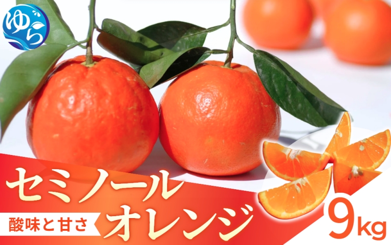 【来シーズン先行予約】セミノール 9kg （サイズM～2Lおまかせ）【2026年4月上中旬より順次発送】【kzmn014】