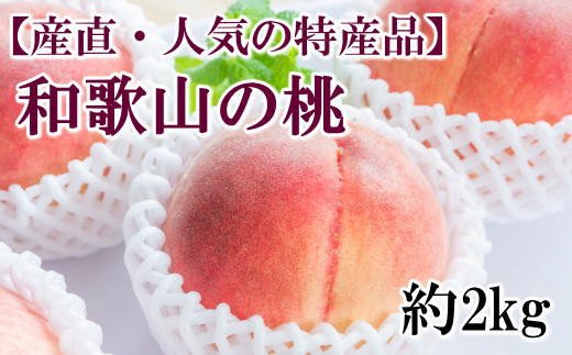 【産直・人気の特産品】和歌山の桃　約2kg・秀選品★2026年6月下旬～8月上旬頃順次発送★【TM167】【tec910B】
