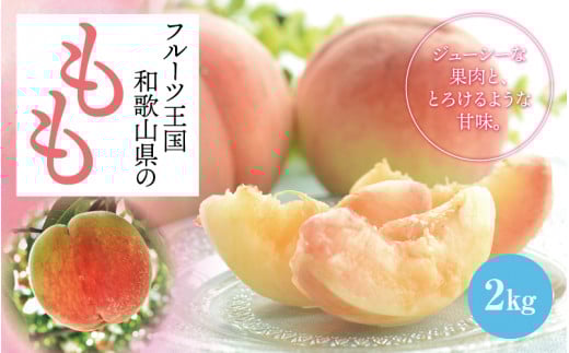 フルーツ王国 和歌山 の 桃 約2kg（fr-06）_ 先行予約 2026年6月中旬から7月下旬発送【MS107】【ard048D】