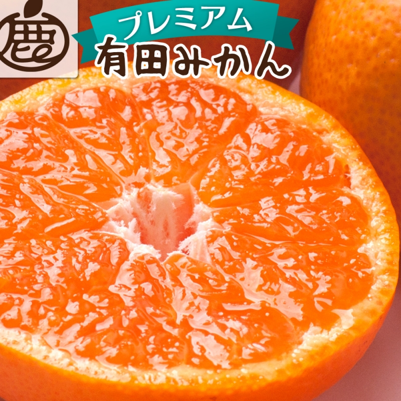＜先行予約＞＜11月より発送＞ プレミアム有田みかん1kg+250g（傷み補償分）(完熟)/ みかん 有田みかん 有田 ミカン 果物 フルーツ 柑橘【ikd214】