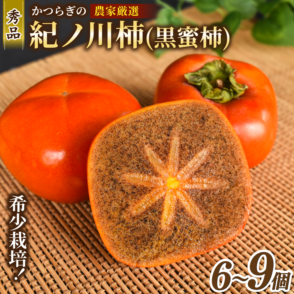 【2026年発送】 紀の川柿 （果実の中身が黒い！黒蜜柿）希少栽培！ 秀品６個～９個 こだわり農家厳選！【※2026年10月上旬から11月上旬頃発送】/ 和歌山県 かつらぎ町 カキ 柿 太秋柿 紀ノ川柿 富有柿 早秋柿 秀品 紀の川柿 かき フルーツ 旬 秋 【kgr044】