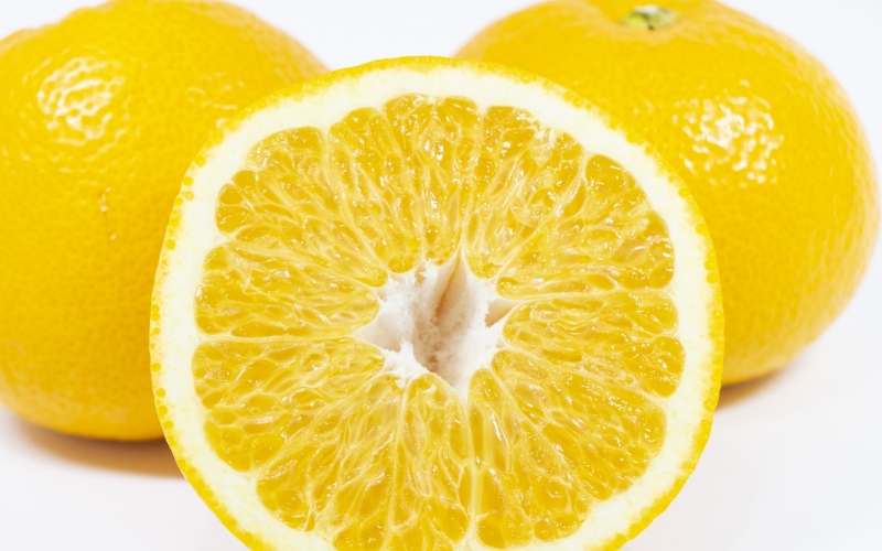 【来シーズン先行予約】樹上完熟さつき八朔　和歌山由良産　秀品  10kg　贈答用 ※2026年4月頃に順次発送予定 / はっさく 柑橘 フルーツ 果物 くだもの 食品 人気 おすすめ 送料無料 由良町 【ksmt002】