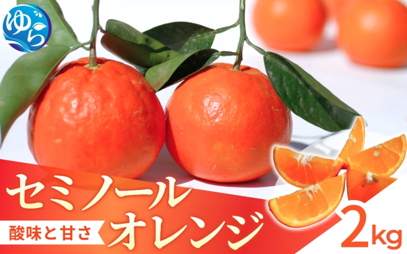 【来シーズン先行予約】セミノール 2kg ※2026年4月上中旬～順次発送 / みかん 晩柑 人気 柑橘 スマイルカット 蜜柑 フルーツ 果物 くだもの 食品 人気 おすすめ 送料無料 産地直送 和歌山県 由良町【kzmn023】