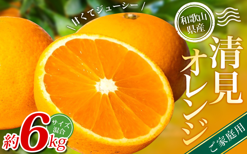 【家庭用】 森本農園の手選別 清見オレンジ 約6kg 和歌山県産 サイズ混合 ※2026年2月上旬～5月中旬頃に順次発送 / 柑橘 ご家庭用 期間限定 由良町 果物 フルーツ 和歌山県【mrmt038A】