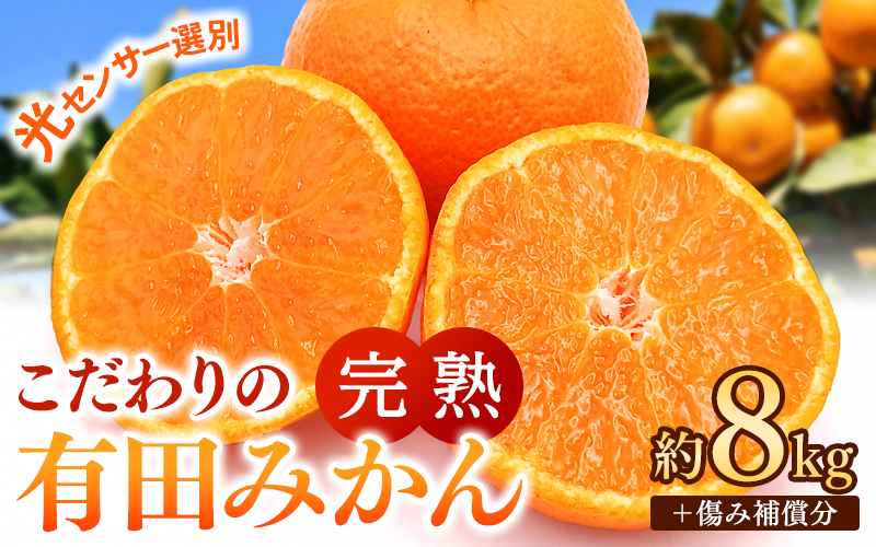 こだわりの有田みかん 約8kg＋250g(傷み補償分) 【ご家庭用】【12月発送】 光センサー選別品 農家直送品 ※北海道・沖縄・離島配送不可 / みかん 有田みかん 温州みかん 柑橘 果物 くだもの フルーツ 有田 和歌山 和歌山県産 産地直送 【nuk100-12B】