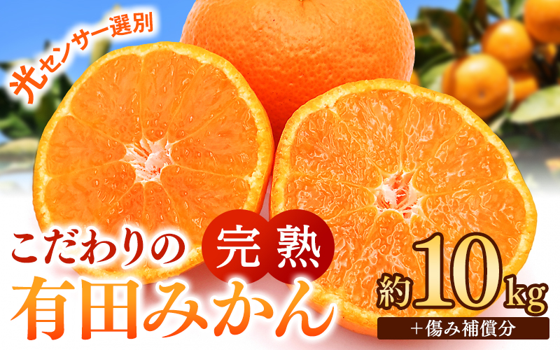 こだわりの有田みかん 約10kg＋250g(傷み補償分) 【ご家庭用】【11月発送】 光センサー選別品 農家直送品 ※北海道・沖縄・離島配送不可 / みかん 有田みかん 温州みかん 柑橘 果物 くだもの フルーツ 有田 和歌山 和歌山県産 産地直送 【nuk101-11A】