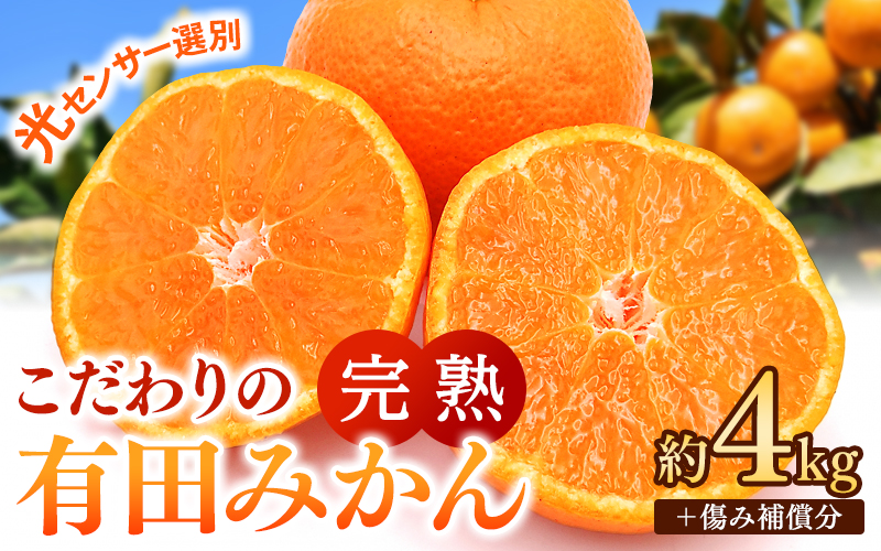 早期先行予約！ こだわりの有田みかん 約4kg＋250g(傷み補償分) 【ご家庭用】【12月発送】 光センサー選別品 農家直送品 ※北海道・沖縄・離島配送不可 / みかん 有田みかん 温州みかん 柑橘 果物 くだもの フルーツ 有田 和歌山 和歌山県産 産地直送 【nuk148-12A】