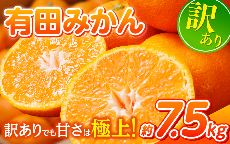 【訳あり】農家直送 有田みかん 約7.5kg ご家庭用 サイズ混合 ※2025年11月中旬より順次発送予定（お届け日指定不可）※北海道・沖縄・離島への配送不可 訳ありみかん みかん ミカン 蜜柑 柑橘 フルーツ 果物 くだもの 温州みかんサイズ混合 訳ありみかん 温州みかん 有機質肥料100% ふるさと納税 柑橘 有田 産地直送【nuk157F】
