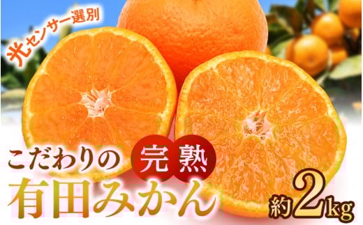 こだわりの有田みかん 約2kg【ご家庭用】【11月発送】 光センサー選別品 農家直送品 ※北海道・沖縄・離島配送不可 / みかん 有田みかん 温州みかん 柑橘 果物 くだもの フルーツ 有田 和歌山 和歌山県産 産地直送 【nuk159-11A】