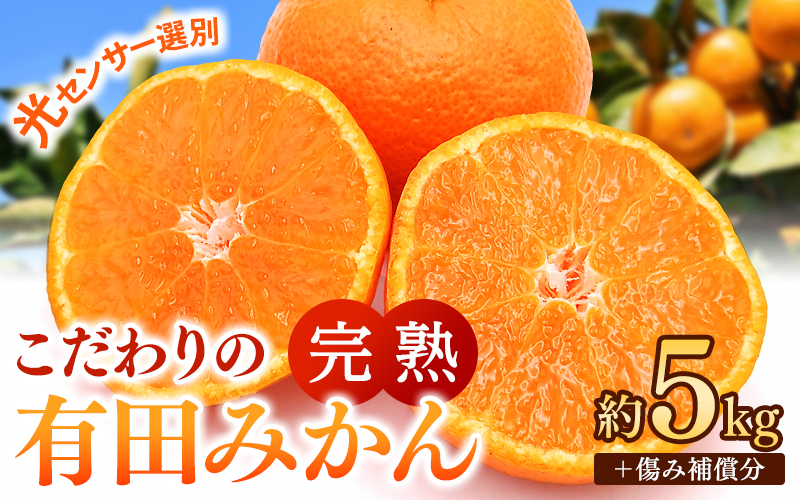 こだわりの有田みかん 約5kg＋250g(傷み補償分) 【ご家庭用】【11月発送】 光センサー選別品 農家直送品 ※北海道・沖縄・離島配送不可 / みかん 有田みかん 温州みかん 柑橘 果物 くだもの フルーツ 有田 和歌山 和歌山県産 産地直送 【nuk160-11】