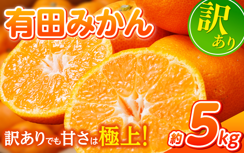 【訳あり】農家直送 有田みかん 約5kg ご家庭用 サイズ混合 ※2025年11月中旬より順次発送予定（お届け日指定不可）※北海道・沖縄・離島への配送不可 訳ありみかん みかん ミカン 蜜柑 柑橘 フルーツ 果物 くだもの 温州みかんサイズ混合 訳ありみかん 温州みかん 有機質肥料100% ふるさと納税 柑橘 有田 産地直送【nuk161E】