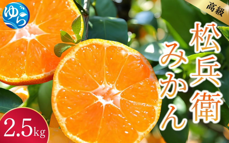 【先行予約】高級松兵衛みかん 2.5ｋｇ ※2025年10月下旬頃～2026年1月上旬頃に順次発送予定 / 和歌山県 柑橘 みかん 甘い 蜜柑 フルーツ 果物 くだもの 食品 人気 晩柑 おすすめ 送料無料 産地直送 由良町【nus003】