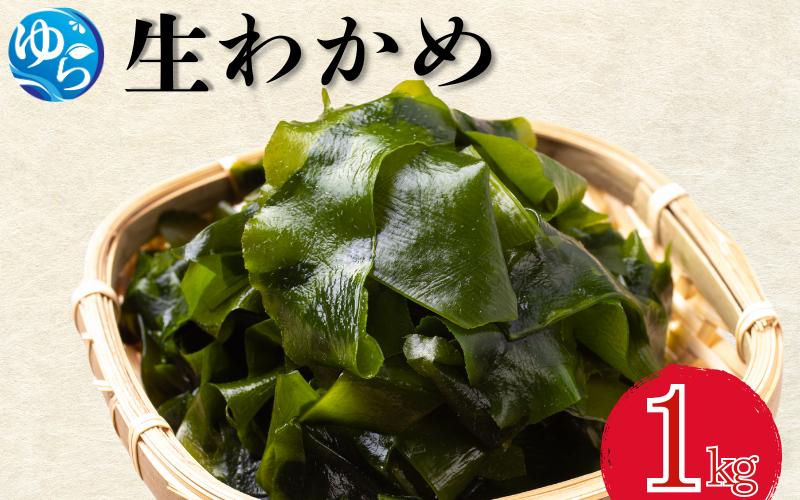 生わかめ 1kg【来シーズン先行予約】※2026年2月上旬頃～順次発送予定 / 食品 海の幸 海鮮 カイセン 海鮮類 ワカメ 生ワカメ 酢の物 サラダ 簡単調理 お味噌汁 和歌山県 由良町 【skmn028】