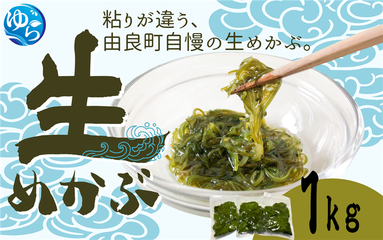 生めかぶ 1kg【来シーズン先行予約】※2026年2月上旬頃～順次発送予定 / めかぶ サラダ 酢の物 天然 海藻 海鮮 新鮮 おかず ご飯お供 お取り寄せ グルメ 国産 食品 冷蔵 和歌山県 由良町 【skmn029】