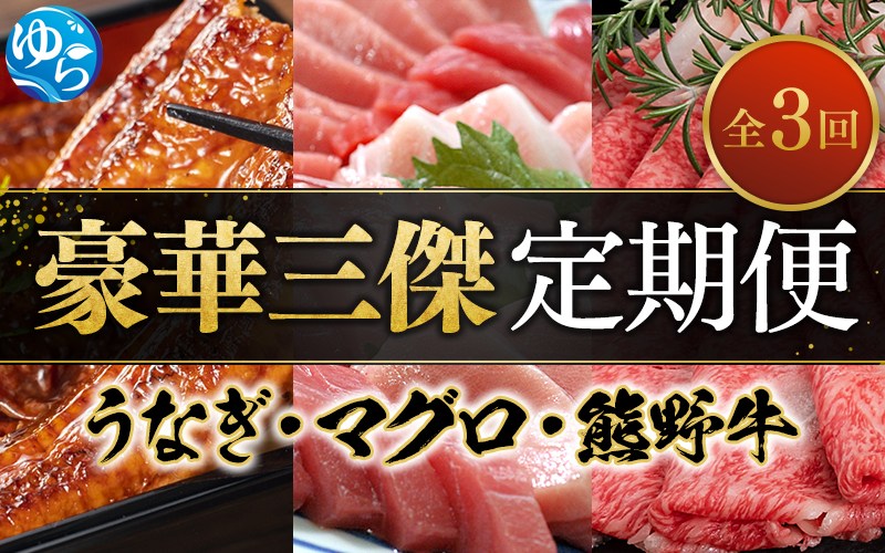 豪華三傑 定期便！ 全3回 うなぎ 高級和牛（熊野牛） マグロ　人気返礼品を3回お届け♪♪ / 本まぐろ まぐろ うなぎ 鰻 肉 牛肉 和牛 人気 冷凍 定期便 ３回【tkb104】